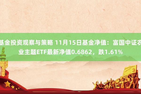 基金投资观察与策略 11月15日基金净值：富国中证农业主题ETF最新净值0.6862，跌1.61%