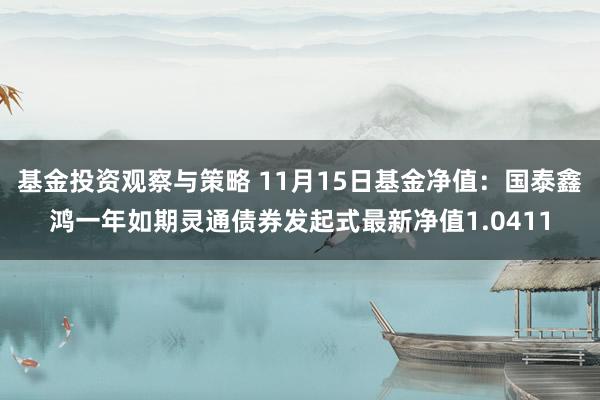 基金投资观察与策略 11月15日基金净值：国泰鑫鸿一年如期灵通债券发起式最新净值1.0411