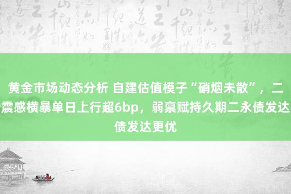 黄金市场动态分析 自建估值模子“硝烟未散”，二永债震感横暴单日上行超6bp，弱禀赋持久期二永债发达更优