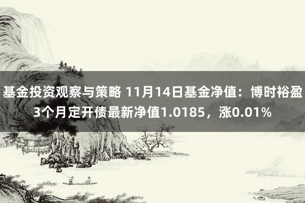 基金投资观察与策略 11月14日基金净值：博时裕盈3个月定开债最新净值1.0185，涨0.01%