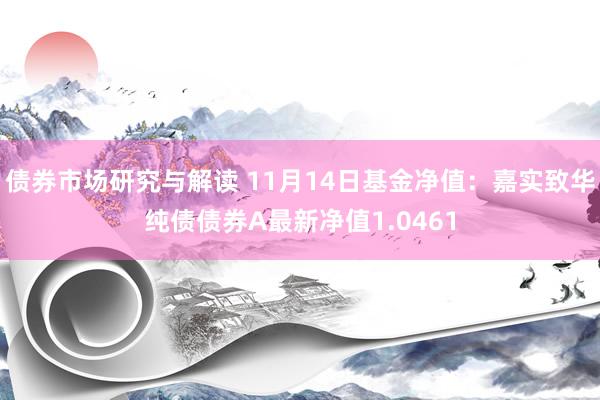 债券市场研究与解读 11月14日基金净值：嘉实致华纯债债券A最新净值1.0461