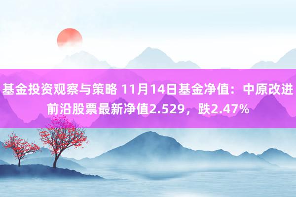 基金投资观察与策略 11月14日基金净值：中原改进前沿股票最新净值2.529，跌2.47%