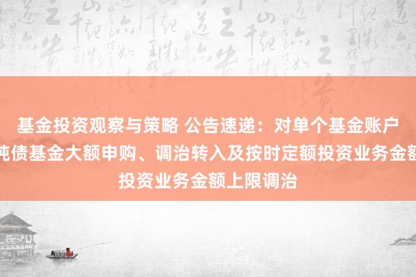 基金投资观察与策略 公告速递：对单个基金账户国金惠盈纯债基金大额申购、调治转入及按时定额投资业务金额上限调治