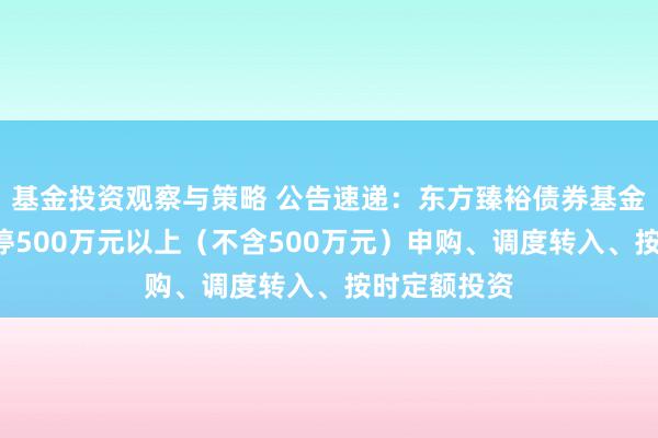 基金投资观察与策略 公告速递：东方臻裕债券基金（C类）暂停500万元以上（不含500万元）申购、调度转入、按时定额投资