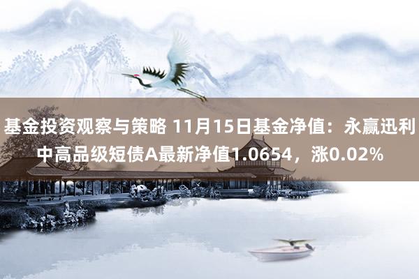 基金投资观察与策略 11月15日基金净值：永赢迅利中高品级短债A最新净值1.0654，涨0.02%