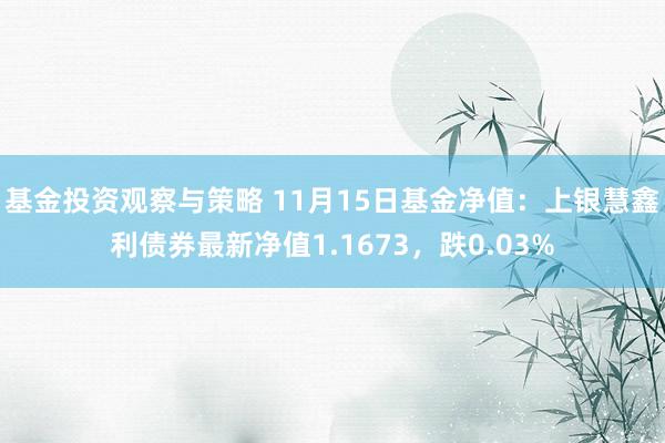 基金投资观察与策略 11月15日基金净值：上银慧鑫利债券最新净值1.1673，跌0.03%