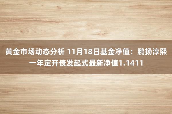 黄金市场动态分析 11月18日基金净值：鹏扬淳熙一年定开债发起式最新净值1.1411