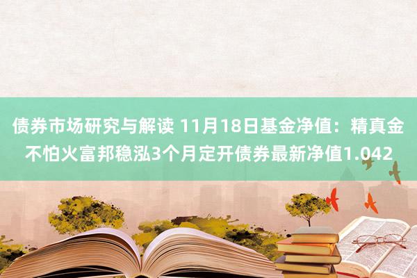 债券市场研究与解读 11月18日基金净值：精真金不怕火富邦稳泓3个月定开债券最新净值1.042