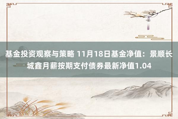 基金投资观察与策略 11月18日基金净值：景顺长城鑫月薪按期支付债券最新净值1.04