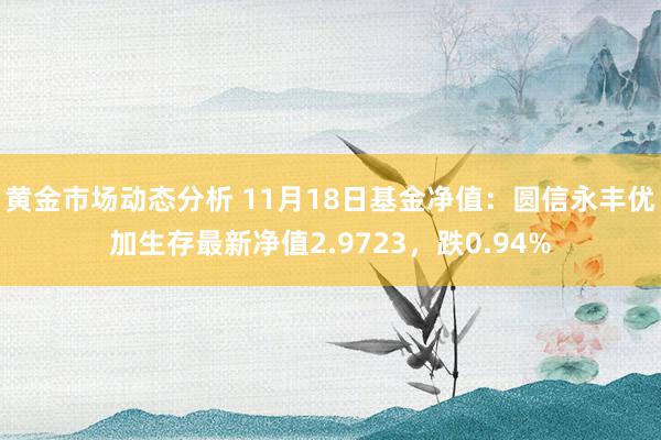 黄金市场动态分析 11月18日基金净值：圆信永丰优加生存最新净值2.9723，跌0.94%