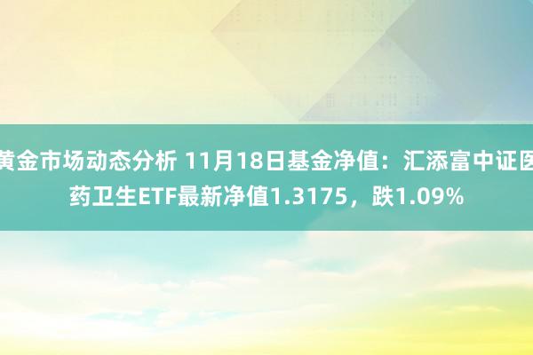 黄金市场动态分析 11月18日基金净值：汇添富中证医药卫生ETF最新净值1.3175，跌1.09%