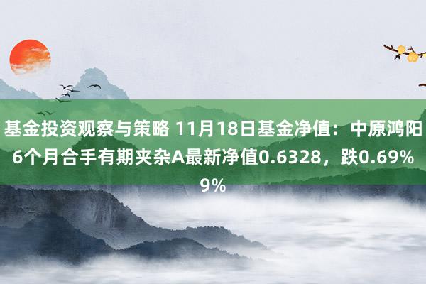 基金投资观察与策略 11月18日基金净值：中原鸿阳6个月合手有期夹杂A最新净值0.6328，跌0.69%