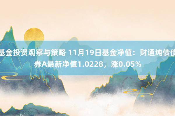 基金投资观察与策略 11月19日基金净值：财通纯债债券A最新净值1.0228，涨0.05%