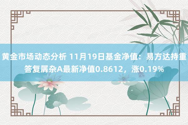 黄金市场动态分析 11月19日基金净值：易方达持重答复羼杂A最新净值0.8612，涨0.19%