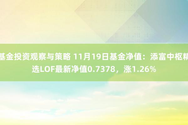 基金投资观察与策略 11月19日基金净值：添富中枢精选LOF最新净值0.7378，涨1.26%