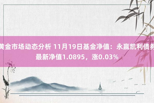 黄金市场动态分析 11月19日基金净值：永赢凯利债券最新净值1.0895，涨0.03%