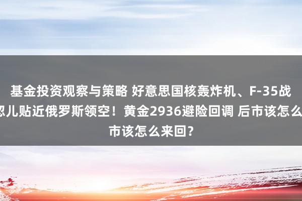 基金投资观察与策略 好意思国核轰炸机、F-35战机一忽儿贴近俄罗斯领空！黄金2936避险回调 后市该怎么来回？