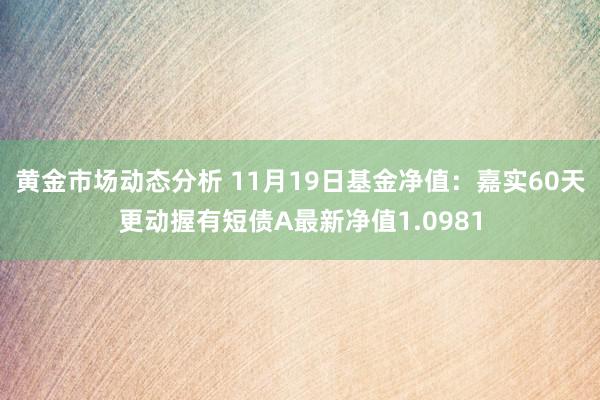 黄金市场动态分析 11月19日基金净值：嘉实60天更动握有短债A最新净值1.0981