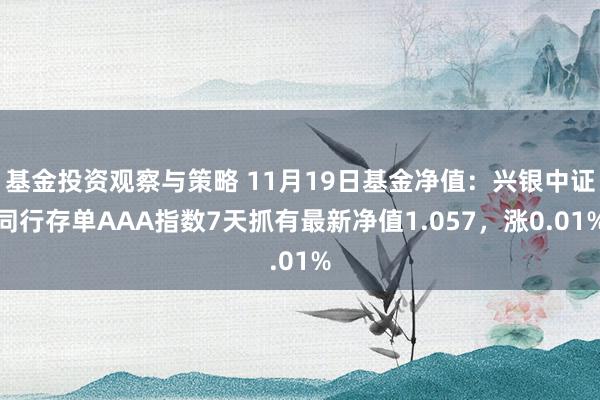 基金投资观察与策略 11月19日基金净值：兴银中证同行存单AAA指数7天抓有最新净值1.057，涨0.01%