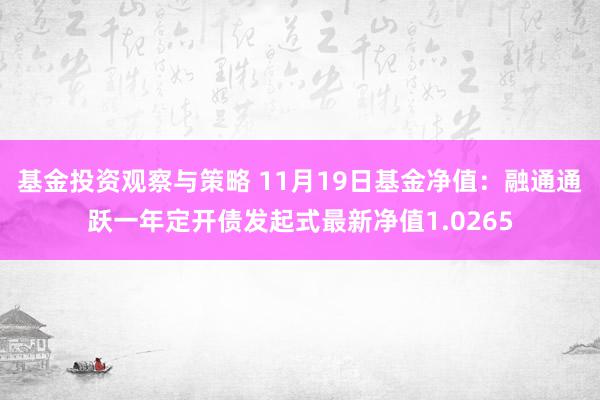 基金投资观察与策略 11月19日基金净值：融通通跃一年定开债发起式最新净值1.0265