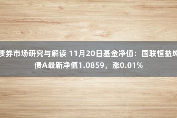 债券市场研究与解读 11月20日基金净值：国联恒益纯债A最新净值1.0859，涨0.01%