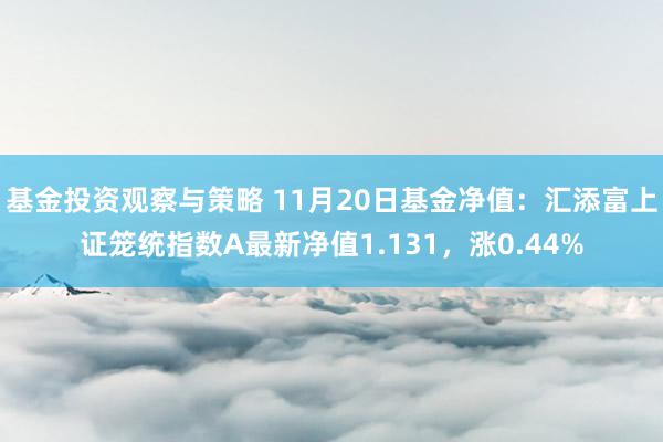 基金投资观察与策略 11月20日基金净值：汇添富上证笼统指数A最新净值1.131，涨0.44%