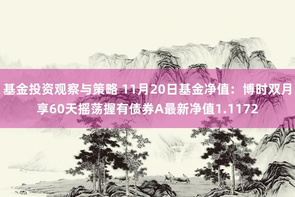 基金投资观察与策略 11月20日基金净值：博时双月享60天摇荡握有债券A最新净值1.1172