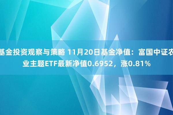 基金投资观察与策略 11月20日基金净值：富国中证农业主题ETF最新净值0.6952，涨0.81%