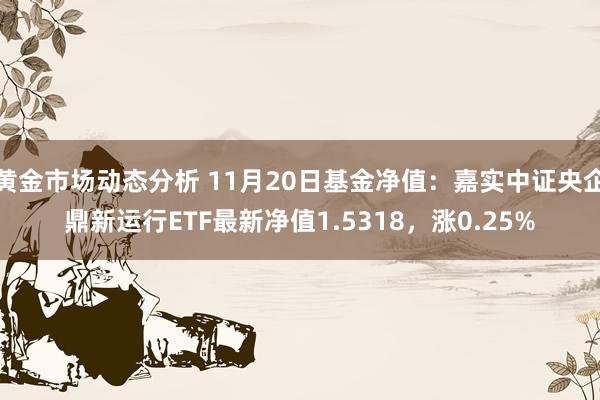 黄金市场动态分析 11月20日基金净值：嘉实中证央企鼎新运行ETF最新净值1.5318，涨0.25%