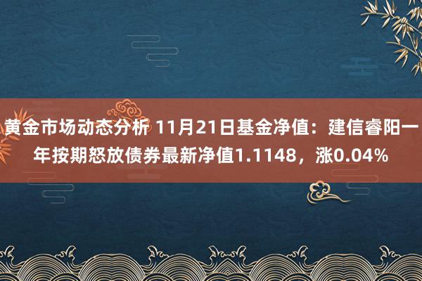 黄金市场动态分析 11月21日基金净值：建信睿阳一年按期怒放债券最新净值1.1148，涨0.04%