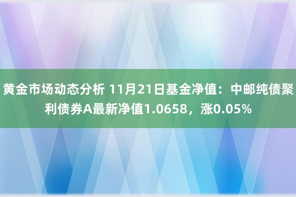 黄金市场动态分析 11月21日基金净值：中邮纯债聚利债券A最新净值1.0658，涨0.05%