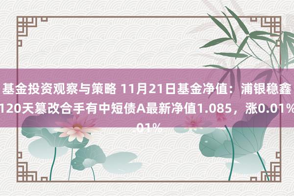 基金投资观察与策略 11月21日基金净值：浦银稳鑫120天篡改合手有中短债A最新净值1.085，涨0.01%