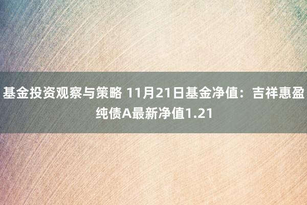 基金投资观察与策略 11月21日基金净值：吉祥惠盈纯债A最新净值1.21