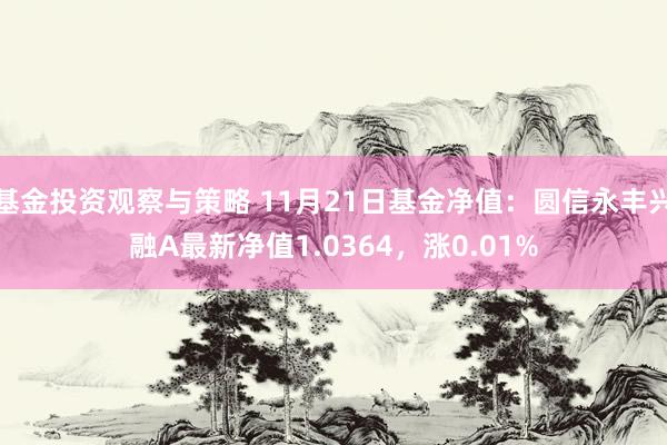 基金投资观察与策略 11月21日基金净值：圆信永丰兴融A最新净值1.0364，涨0.01%