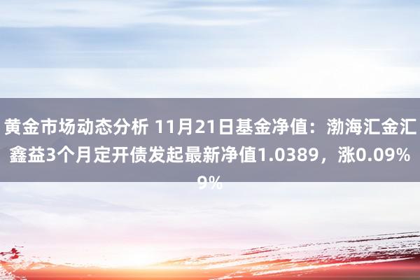 黄金市场动态分析 11月21日基金净值：渤海汇金汇鑫益3个月定开债发起最新净值1.0389，涨0.09%