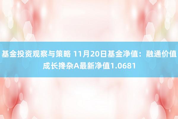 基金投资观察与策略 11月20日基金净值：融通价值成长搀杂A最新净值1.0681