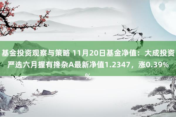 基金投资观察与策略 11月20日基金净值：大成投资严选六月握有搀杂A最新净值1.2347，涨0.39%