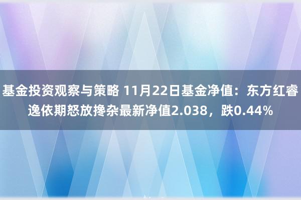 基金投资观察与策略 11月22日基金净值：东方红睿逸依期怒放搀杂最新净值2.038，跌0.44%