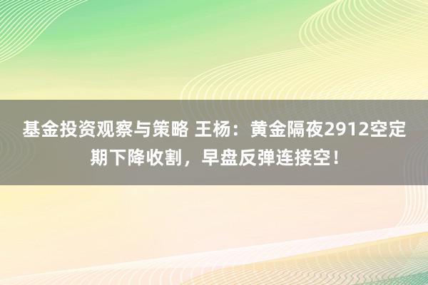 基金投资观察与策略 王杨：黄金隔夜2912空定期下降收割，早盘反弹连接空！