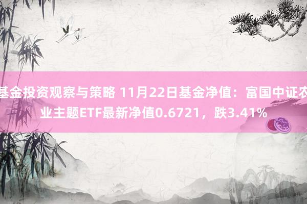 基金投资观察与策略 11月22日基金净值：富国中证农业主题ETF最新净值0.6721，跌3.41%