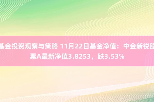 基金投资观察与策略 11月22日基金净值：中金新锐股票A最新净值3.8253，跌3.53%