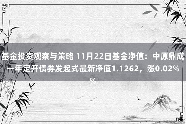 基金投资观察与策略 11月22日基金净值：中原鼎成一年定开债券发起式最新净值1.1262，涨0.02%