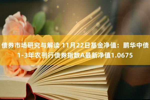 债券市场研究与解读 11月22日基金净值：鹏华中债1-3年农刊行债券指数A最新净值1.0675