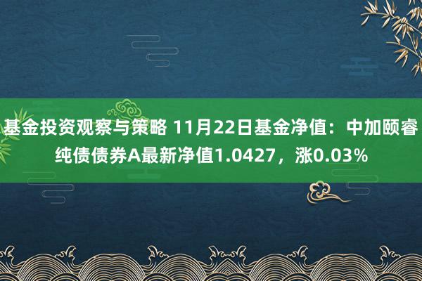 基金投资观察与策略 11月22日基金净值：中加颐睿纯债债券A最新净值1.0427，涨0.03%