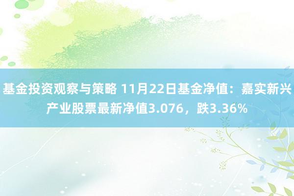 基金投资观察与策略 11月22日基金净值：嘉实新兴产业股票最新净值3.076，跌3.36%