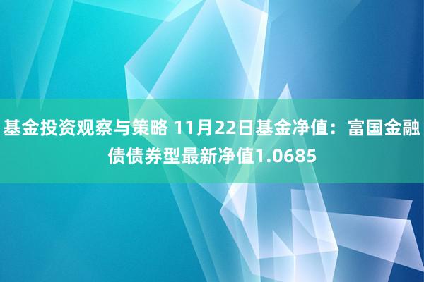 基金投资观察与策略 11月22日基金净值：富国金融债债券型最新净值1.0685