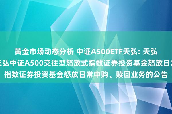 黄金市场动态分析 中证A500ETF天弘: 天弘基金解决有限公司对于天弘中证A500交往型怒放式指数证券投资基金怒放日常申购、赎回业务的公告