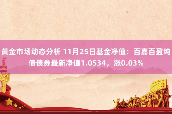 黄金市场动态分析 11月25日基金净值：百嘉百盈纯债债券最新净值1.0534，涨0.03%