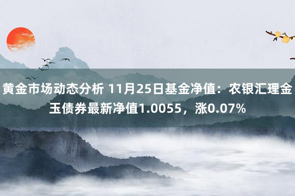 黄金市场动态分析 11月25日基金净值：农银汇理金玉债券最新净值1.0055，涨0.07%