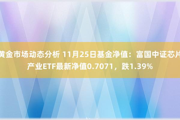 黄金市场动态分析 11月25日基金净值：富国中证芯片产业ETF最新净值0.7071，跌1.39%